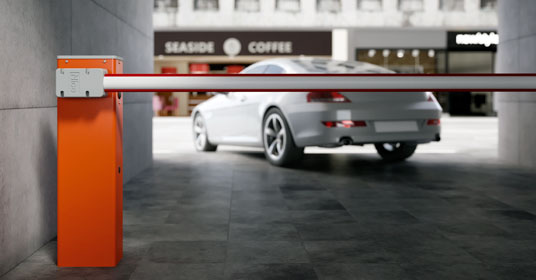 �������� nice