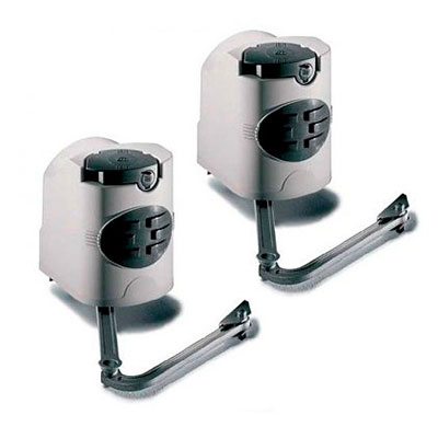 ���������� Came Fast